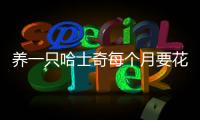 養(yǎng)一只哈士奇每個(gè)月要花多少錢(養(yǎng)哈士奇每個(gè)月的開銷)