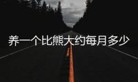 養一個比熊大約每月多少錢