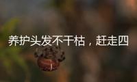 養護頭發不干枯，趕走四個壞習慣