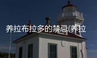 養(yǎng)拉布拉多的禁忌(養(yǎng)拉布拉多的十大好處)