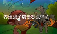 養殖鴿子前景怎么樣？ 養殖鴿子的前景怎么樣?