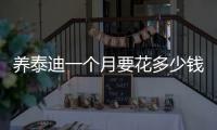 養泰迪一個月要花多少錢一只  養泰迪一個月要花多少錢呢