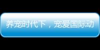 養寵時代下，寵愛國際動物醫院以高品質醫療為寵物健康護航