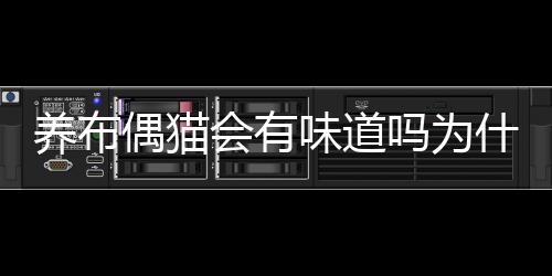 養布偶貓會有味道嗎為什么？養布偶貓會有味道嗎知乎