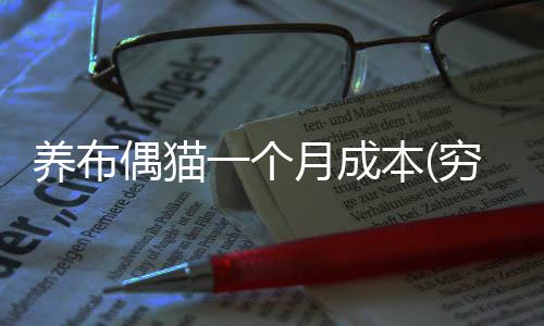 養布偶貓一個月成本(窮養布偶貓一個月200夠嗎)