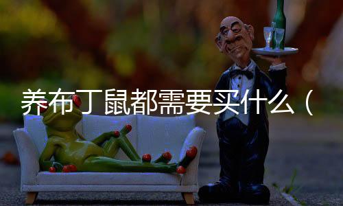 養布丁鼠都需要買什么（布丁鼠多少錢一只）