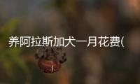 養阿拉斯加犬一月花費(阿拉斯加犬正常壽命)