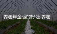 養老年金險的好處 養老年金險怎么購買