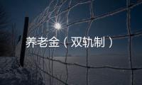 養老金（雙軌制）