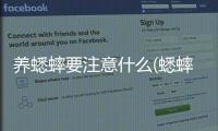 養蟋蟀要注意什么(蟋蟀愛吃什么)