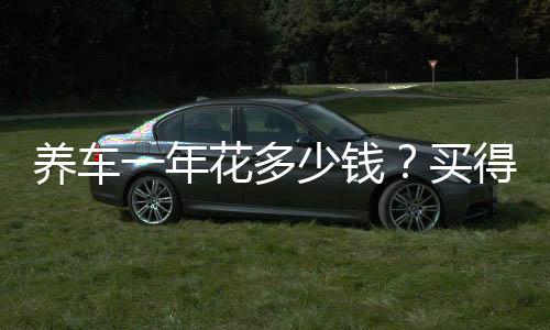 養(yǎng)車一年花多少錢？買得起不一定養(yǎng)得起