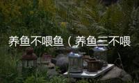 養(yǎng)魚(yú)不喂魚(yú)（養(yǎng)魚(yú)三不喂）