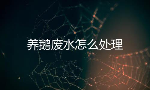 養(yǎng)鵝廢水怎么處理