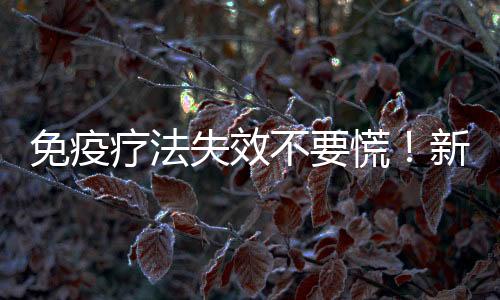 免疫療法失效不要慌！新聯(lián)合療法或拯救其中80%癌癥患者