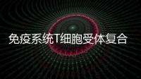 免疫系統T細胞受體復合物結構首獲解析