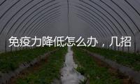 免疫力降低怎么辦，幾招教你提高免疫力