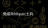 免疫“士兵”T細胞休息不足 后果遠非“罷工”那么簡單