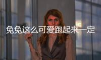 兔兔這么可愛跑起來一定很快 試哈弗赤兔