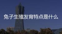 兔子生殖發育特點是什么意思啊？兔子生殖過程特點