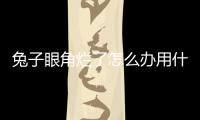 兔子眼角爛了怎么辦用什么藥(兔子眼角流血怎么辦?)