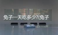 兔子一天吃多少?(兔子一天吃多少合適)