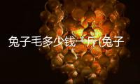 兔子毛多少錢一斤(兔子的毛變黃了怎么辦)