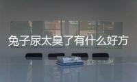 兔子尿太臭了有什么好方法(兔子尿漬怎么清除小妙招)
