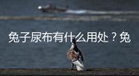 兔子尿布有什么用處？兔子尿布有什么用途