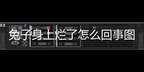 兔子身上爛了怎么回事圖片？兔子身上爛了怎么回事兒