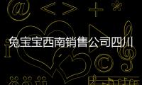 兔寶寶西南銷售公司四川銷售部第四季度銷量沖刺會議