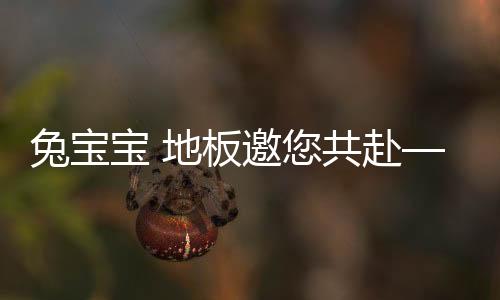 兔寶寶 地板邀您共赴——上海DOMOTEXasia地材展