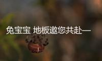 兔寶寶 地板邀您共赴——上海DOMOTEXasia地材展