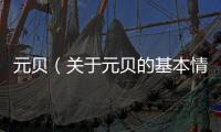 元貝（關于元貝的基本情況說明介紹）