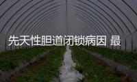 先天性膽道閉鎖病因 最常見的是先天性的發(fā)育異常