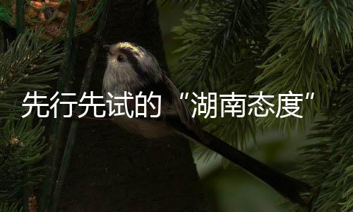 先行先試的“湖南態度”