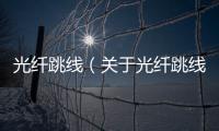 光纖跳線（關于光纖跳線的基本情況說明介紹）