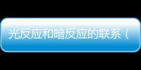 光反應和暗反應的聯系（光反應）