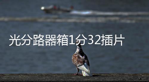 光分路器箱1分32插片式分光器箱產(chǎn)品發(fā)布會