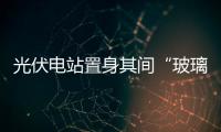 光伏電站置身其間“玻璃衣”節能60％,行業資訊