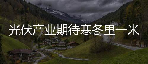 光伏產業期待寒冬里一米陽光,行業資訊