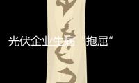 光伏企業生病“抱屈” 地方相關部門不需要愧疚,行業資訊