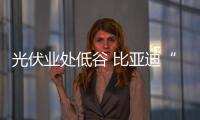 光伏業處低谷 比亞迪“逆勢而入”意欲何為？,市場研究