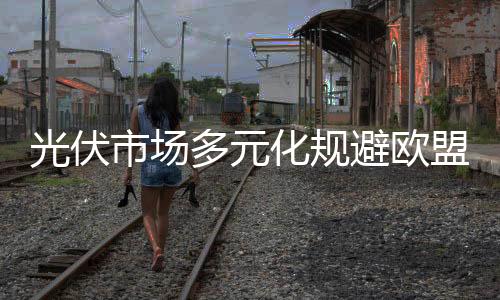 光伏市場多元化規避歐盟“雙反”影響