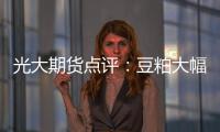 光大期貨點(diǎn)評(píng)：豆粕大幅回調(diào)意味著轉(zhuǎn)向嗎？
