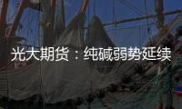光大期貨：純堿弱勢延續，跌幅一度近3%下行空間或不應過度樂觀