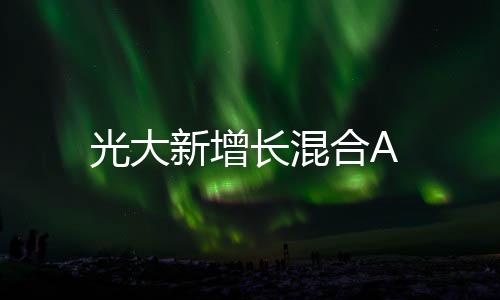 光大新增長混合A