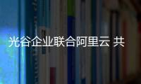 光谷企業聯合阿里云 共建華中首個公共云節點