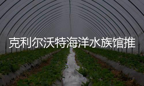 克利爾沃特海洋水族館推出優雅的AquaGala