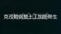 克孜勒鋼塑土工加筋帶生產(chǎn)廠家
