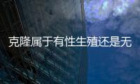 克隆屬于有性生殖還是無性繁殖（克隆是有性生殖還是無性生殖）